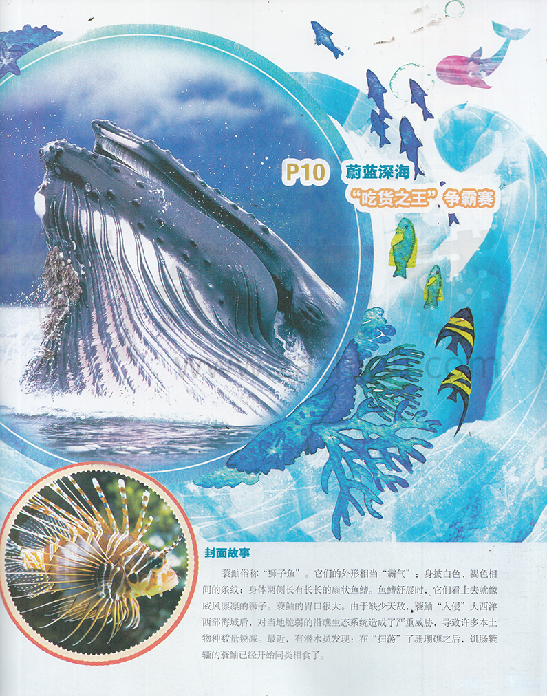 海洋探秘杂志订阅