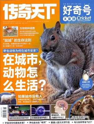 �����ʡ�����ţ�1�깲12�ڣ�36����������Cricket